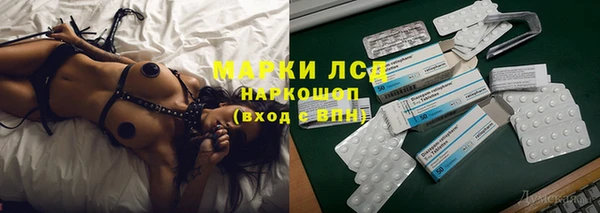 СК Арсеньев