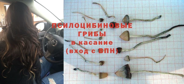 СК Арсеньев