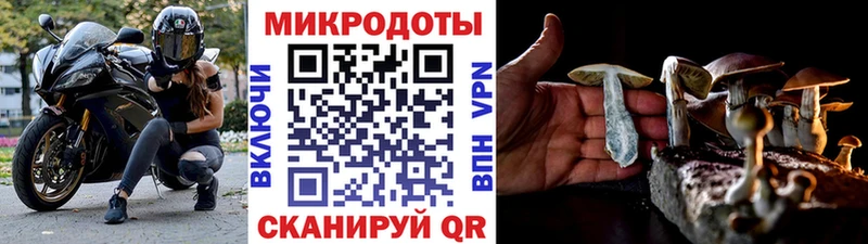 купить наркотик  Галич  Галлюциногенные грибы мухоморы 
