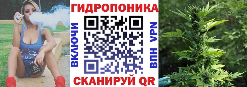 купить   блэк спрут как зайти  Бошки Шишки гибрид  Галич 